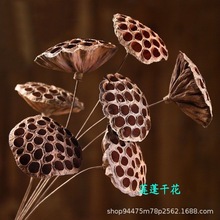 干莲蓬不带籽金属杆可造型干花落地艺术干花家居摆件拍摄道具批发