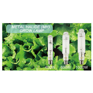 Cross Border MH 400/600/1000W Plant Growth Light