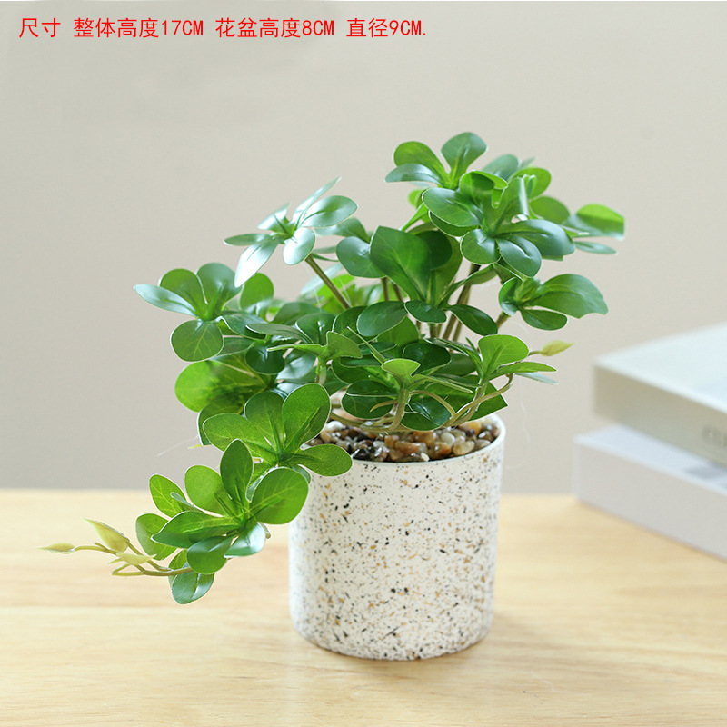 Blanco lechoso 832396 verde oscuro campana colgante bonsai ☆