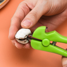 �_������Ѫ��Ѫ���Q����ë���A��·��Ѫ�������Q��ؐ���A�_������