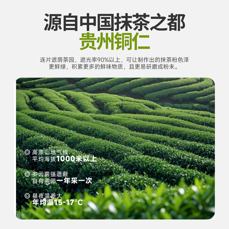 西域美農銅仁霧青抹茶パウダー 砂糖無添加ドリンク 小包装 生ココナッツミルクラテ ベーキングスペシャル|undefined