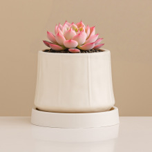 �մɻ��豱�W���ú��sins�L�p�������L�����m����Gֲ�����辰��