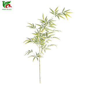 ���~�L�����ӷ���ֲ�����~֦�Gֲ�h�ʾW�řڲ����U��U����b�
