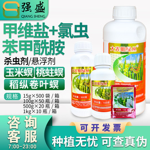 �G��11.6%�׾S&middot;���x�� �׾S�}���x�����������v���~�����x���rș
