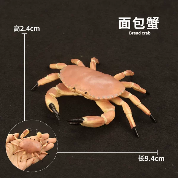[面包蟹-2226（23.1g）]