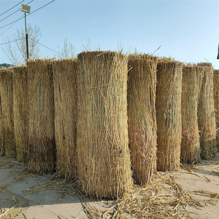 Поставка теплиц с теплоизолятом травяные стебли