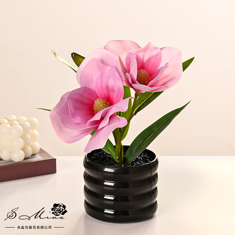 Dos flores y una fruta sensación de imitación de flores en maceta de magnolia, decoración de plantas verdes en el hogar, sala de estar, pequeñas flores de bonsai image 3