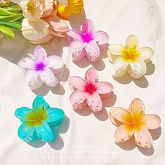 夏の海辺のグラデーション色の超仙の卵の花はネットの赤い新型の花をつかみます。
