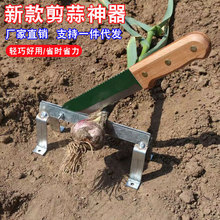 ���⌣�ü����^��������C������U�C�������������������厵�