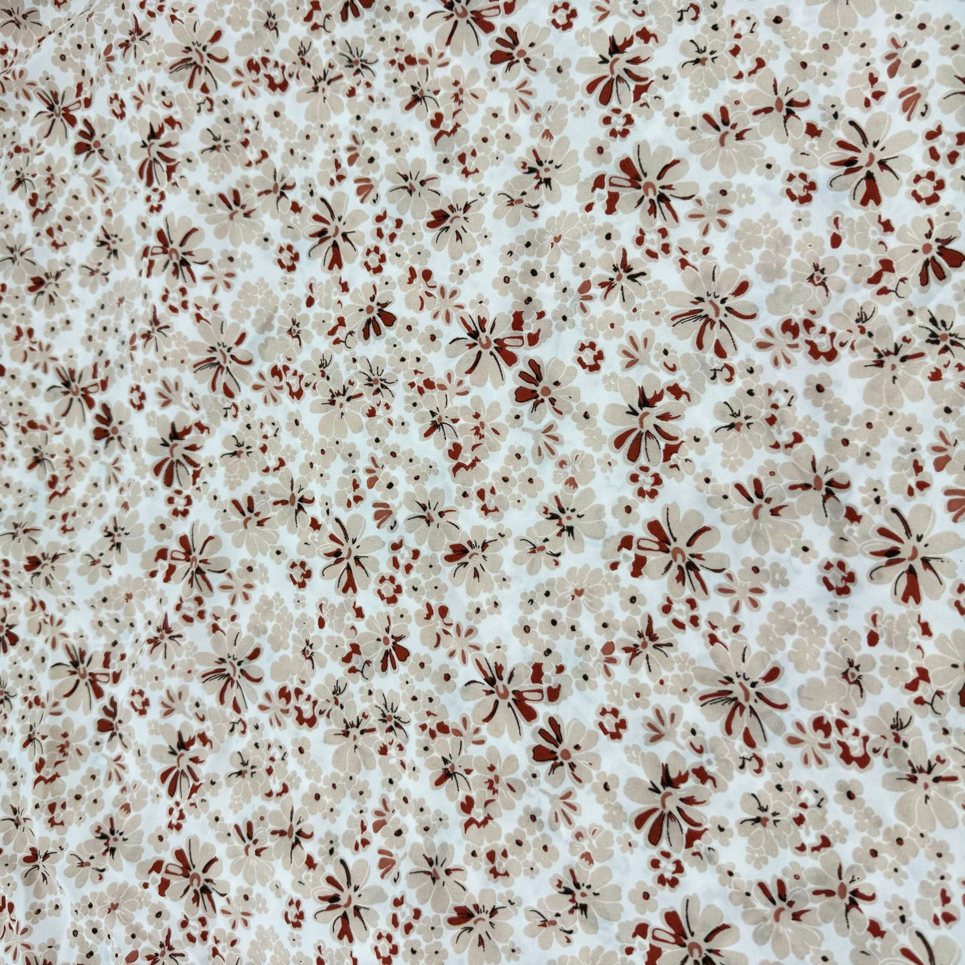 微信图片_202410101711109