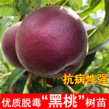 �������Ҙ�����Ҙ�޽��������S���Ә��m�������Թ������������