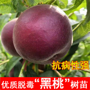 �������Ҙ�����Ҙ�޽��������S���Ә��m�������Թ������������