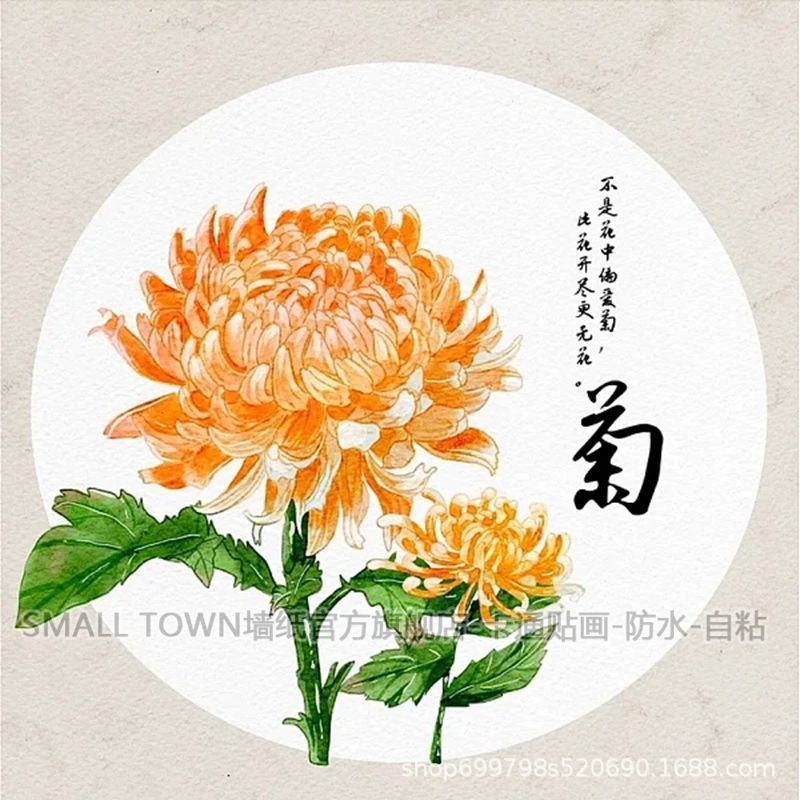 LL275-12 국화 1장