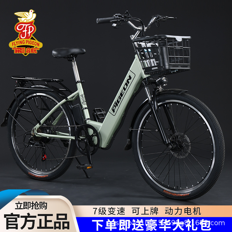 Fabricantes de palomas volantes suministrar bicicletas eléctricas HJ01 scooter batería vehículo asistido bicicletas eléctricas pequeñas y medianas