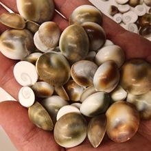 ������ ��ϴ̫�ʯؐ�����ݷQ���~�׮���Ư��ƿ�b����l