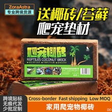 乌龟椰砖爬宠家用园艺种植营养土苔藓乌龟冬眠角蛙蜥蜴守宫爬虫垫