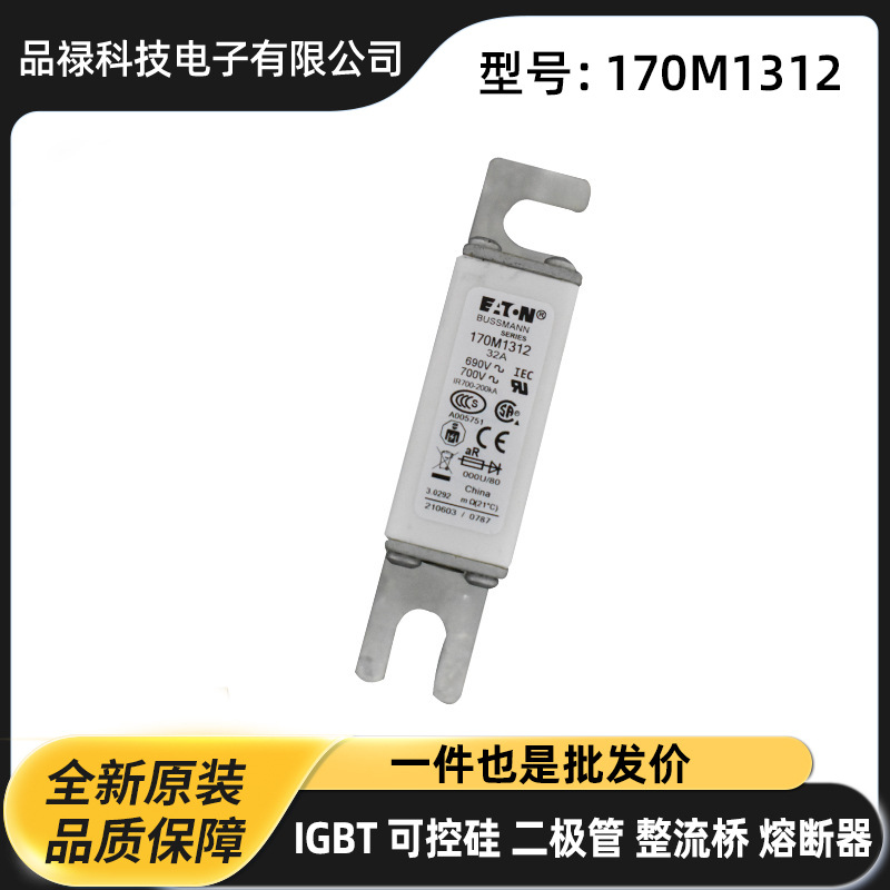快速熔断器 保险丝作用170M1312  170M1313货源充足高压熔断器