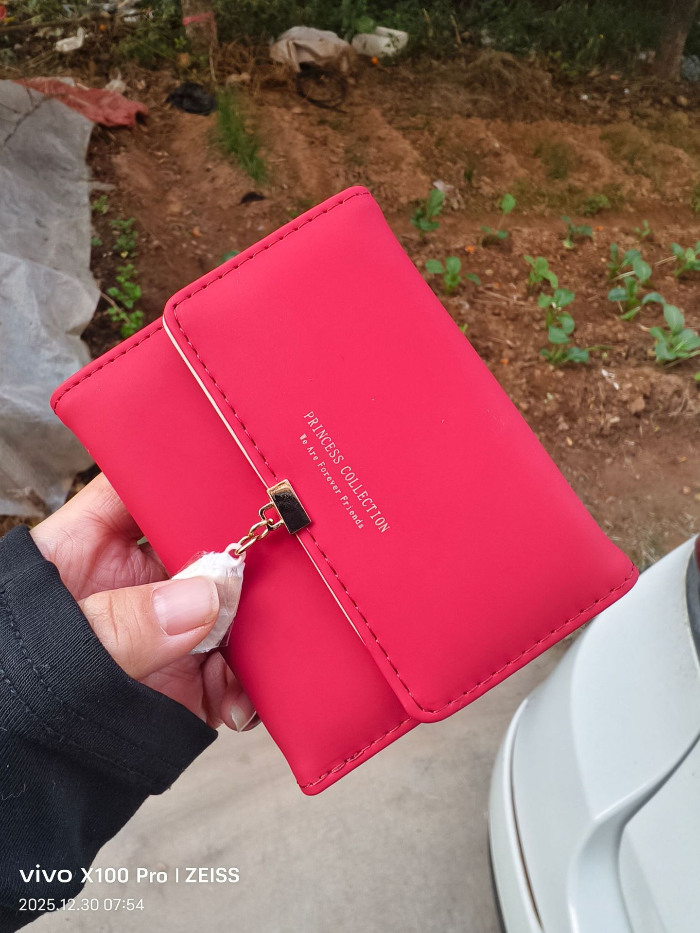 Cartera de la hoja vino rojo