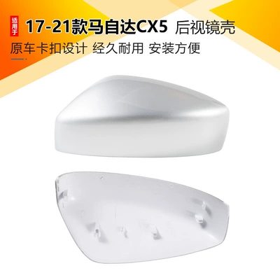 Shell Reflector Housing with Paint: Rearview mirror/rearview mirror