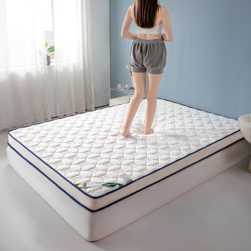 Memory Mattress for Home Use, Soft Cushion for Double Bed, Thickened for Student Dormitory, Single Tatami Memory Foam Mattress Topper