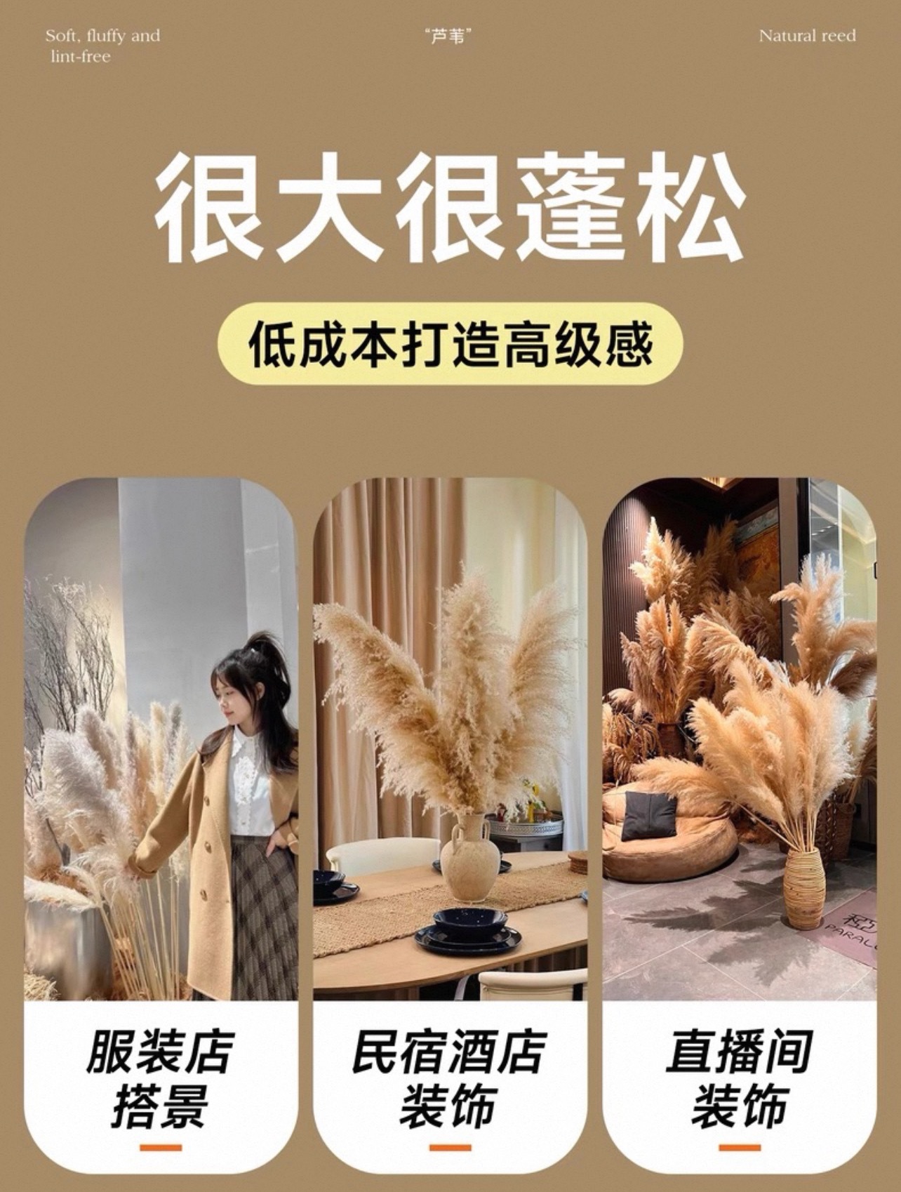 21a1ce6d0270a1a97e336bd1fd6aa8