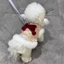 �n�挙��؈�����·������ﶬ�b�o��ë��̩�ϱ���С��Ȯ�s���ı�ů