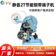 定制2T节能铜带端子机 线束数据线氖管热敏元件自动压接线端子机