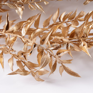 ���������F�~��Ư�׸��F�~��ɫ�yɫ�������ĸɻ�diy���ϸ��~�ɲ�