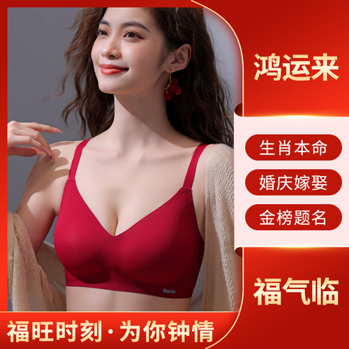 Seamless Lucky Red Adjustable Underwear Women's Zodiac Year Red Full Cup Bra Set No Wires Correction Extension