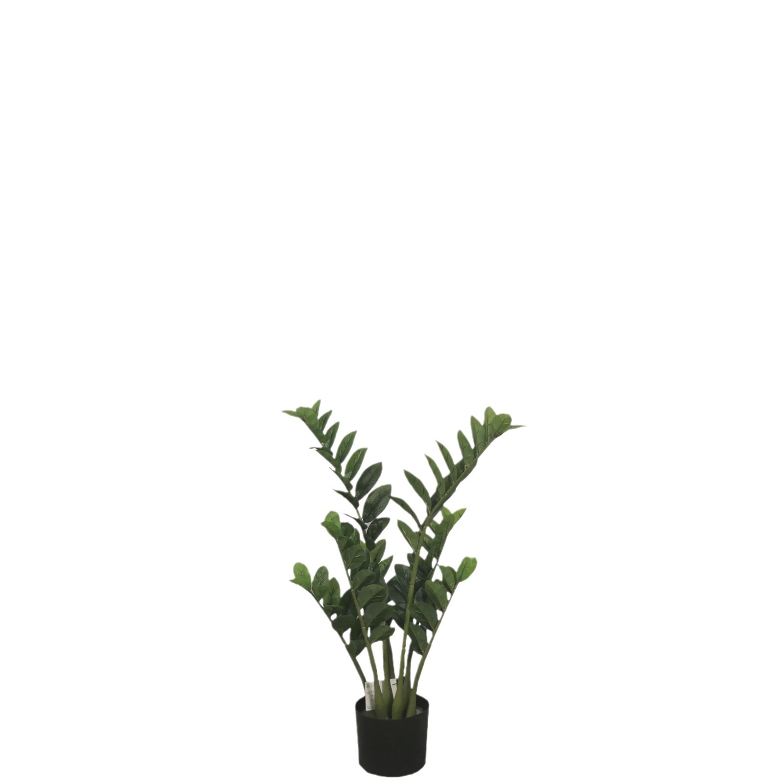 Simulación de hojas de dinero, plantas verdes, plantas en macetas, simulaciones de hojas de dinero falsas, adornos de plástico artificial, plantas verdes