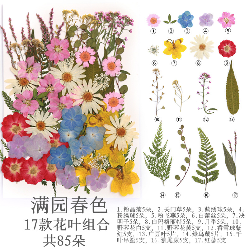 봄 풀 가든 (Taobao 폭발)