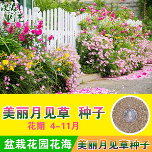 ҊݷNӴݷNҹۻͥԺ@׻ļ_