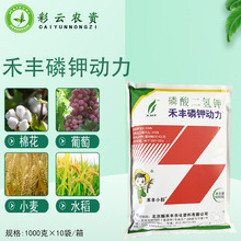 禾丰磷钾动力99%磷酸二氢钾叶面肥葡萄草莓花生冲施水溶肥1000克