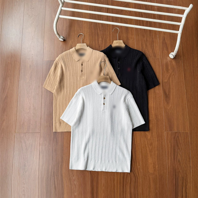 Cross-Border Foreign Trade Spring and Summer Rl Ralph Lauren Logo Men's Short-Sleeve Turn-Down Collar Cable Knit T-Shirt Men's Cotton Polo Shirt Cross-Border Foreign Trade Spring and Summer Rl Ralph Lauren Logo Men's Short-Sleeve Turn-Down Collar Cable Knit T-Shirt Men's Cotton Polo Shirt