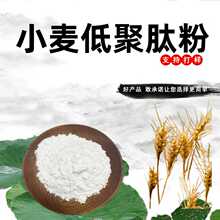 小麦低聚肽粉99%水溶性粉食品级原料小麦提取物小分子肽粉末现货