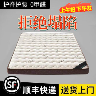 Coconut Palm Mattress Home Bedroom Spine Protection Palm Latex Children's Palm Mattress Tatami Mat Aliexpress Factory Direct Sale