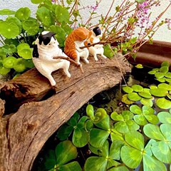 子猫が釣りをして金魚鉢を飾っています。