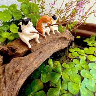 Kitten fishing ornaments fish tank landscaping Meow fishing good weather leisure Cat Fishing cat hanging decorations