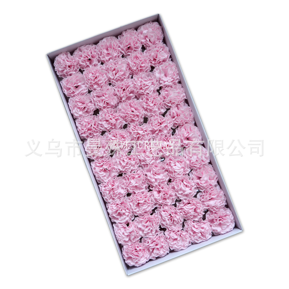 Millennium Carnation [Light Pink]