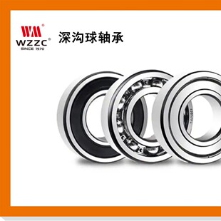 63ϵ��63/22-2RS 63003-2RS 6303TNUG�����z�ܷ�������S�����l