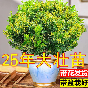 ��ˮ���m�������҃��̨���B�Ϙ������ļ��_�����ͻ�����þGֲ��