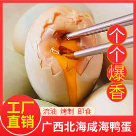 广西红树林特产海鸭咸蛋50-59克蛋黄起砂流油批发海鸭蛋低盐