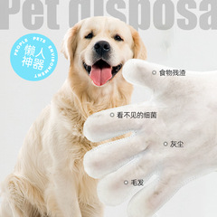 Pet Wash-Free Gloves Single Pack Cat and Dog Pet Wet Wipes Dry Cleaning Deodorizing Wash-Free Gloves