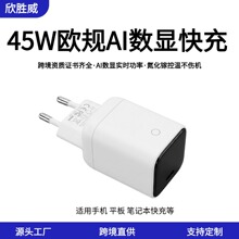 �羳�WҎ45W����^ �m���O���A���֙C������WҎ���^����扳����