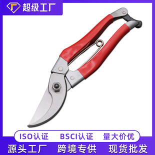 �S�����l �B����֦��@ˇ��֦��ˇ���������֦��@�ֹ���