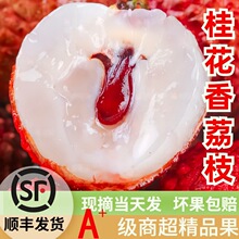 ��S���Ϲ�����֦5�ﮔ�����rˮ���Fժ��֦���Ϙ������]���l