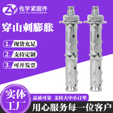 穿山刺膨胀砌块砖泡沫砖轻体砖专用螺栓加气块锚栓不锈钢