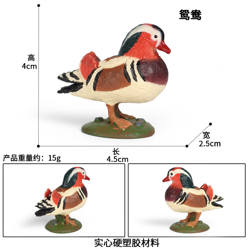 1419 mandarin duck