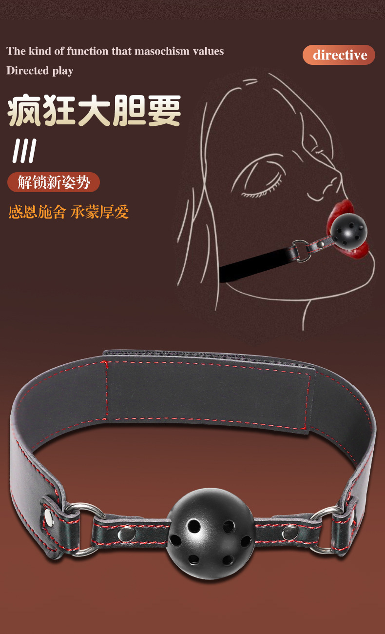 Adult Couple Flirting Props Set with Nipple Clamps, Handcuffs, Mouth Ball and Anal Hook — detail image 17