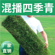 �G�ѷN�I���l�G���첥�ļ����ƺ�N�ӾG�������ݸ���é�o��